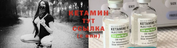 прущие грибы Алексеевка