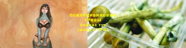 PSILOCYBIN Алзамай