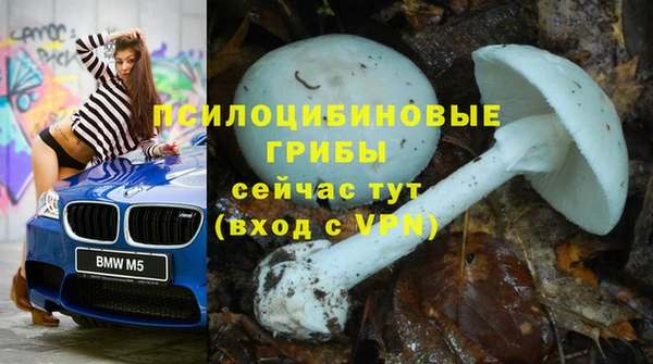 прущие грибы Алексеевка